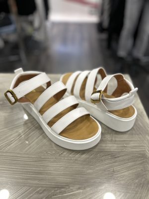 SANDALO 374DP
